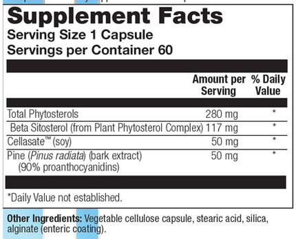 Sterol 117 60 Capsules