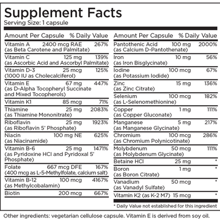 The Big One® with Iron 90 Capsules