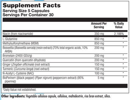 BioAdaptogen Ultra 60 Capsules