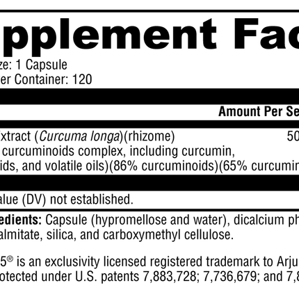 CurcuPlex-95™ 120 Capsules