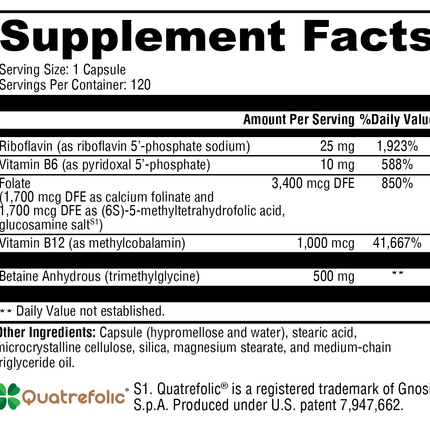 Methyl Protect® 120 Capsules